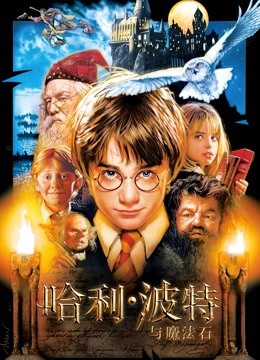 哈利·波特1：哈利·波特与魔法石普通话