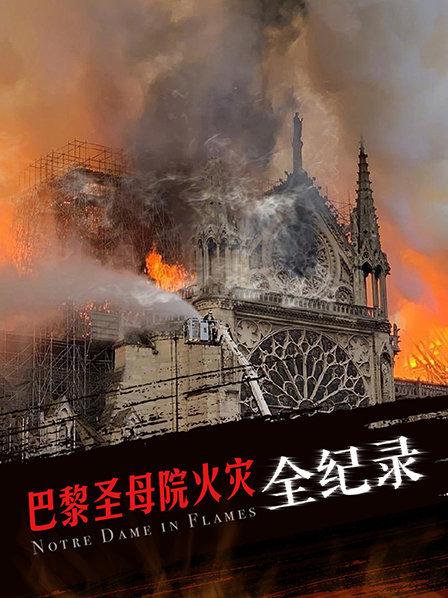 巴黎圣母院火灾全记录