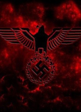 纳粹的崛起TheRiseoftheNaziParty