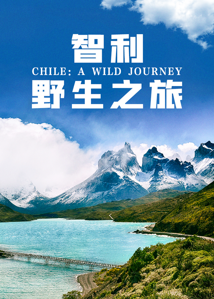 智利：野生之旅