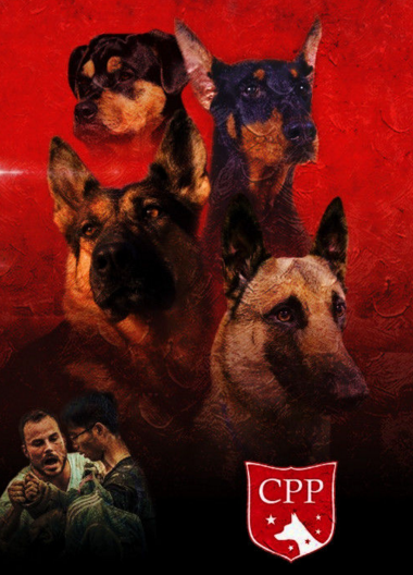 第二届中国私人护卫犬大赛