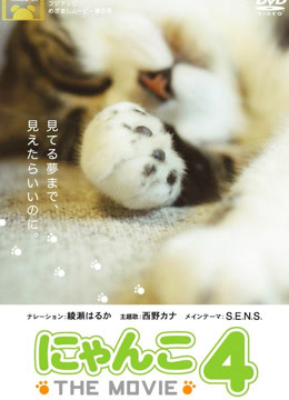 猫咪物语第4季