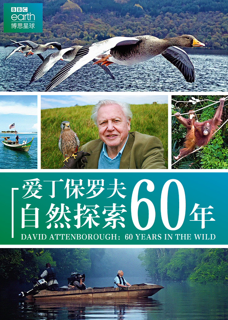 爱丁保罗夫：自然探索60年