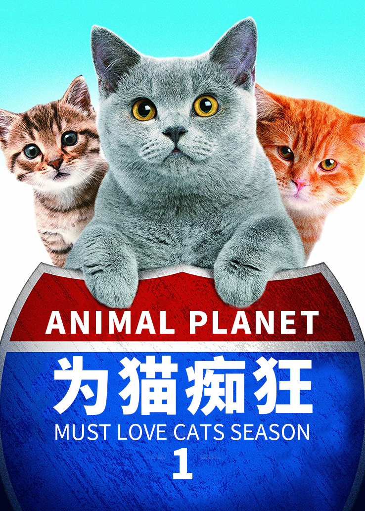动物星球：为猫痴狂第1季