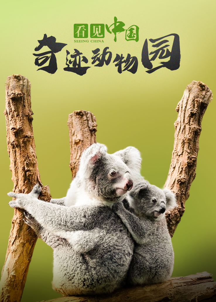 看见中国：奇迹动物园