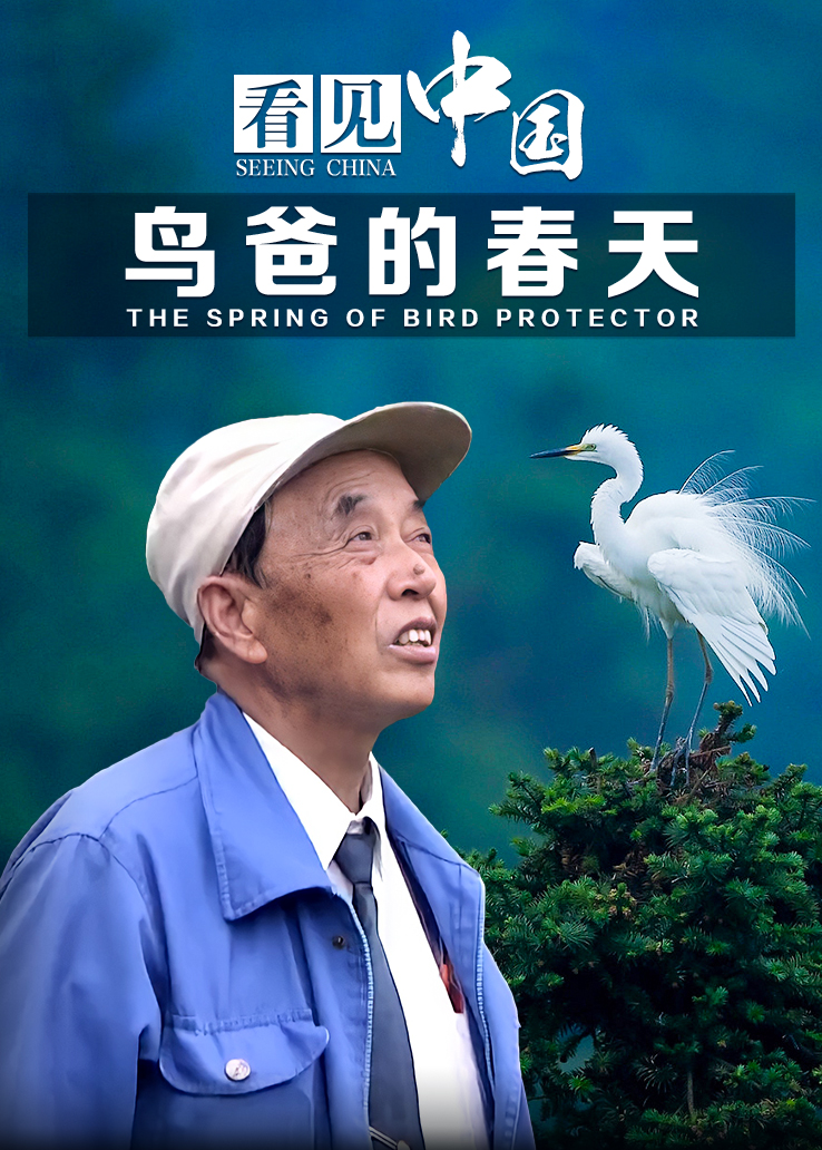 看见中国：鸟爸的春天