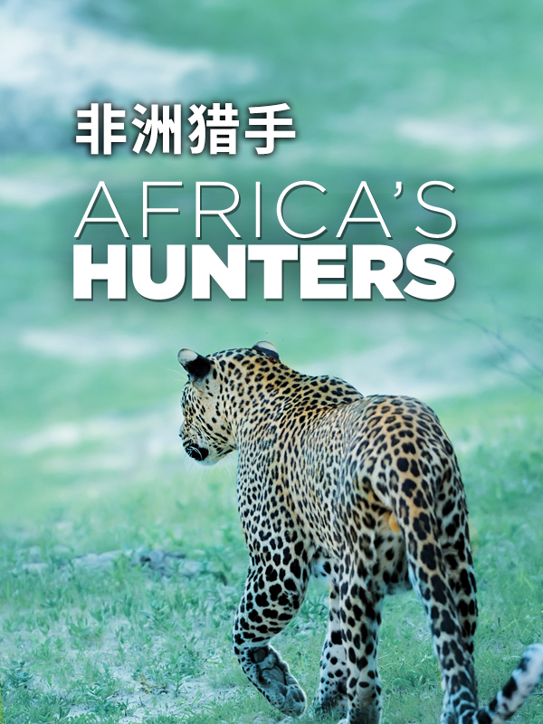 非洲猎手 第一季