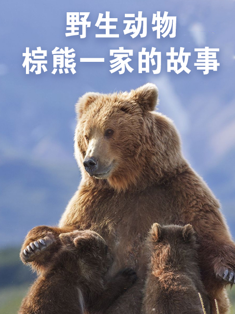 野生动物：棕熊一家的故事
