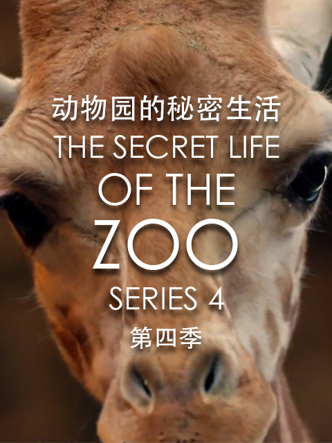动物园的秘密生活 第四季